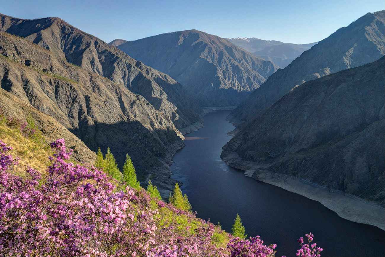 altai