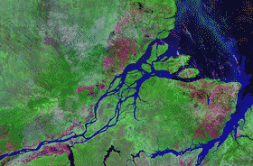 amazone fleuve