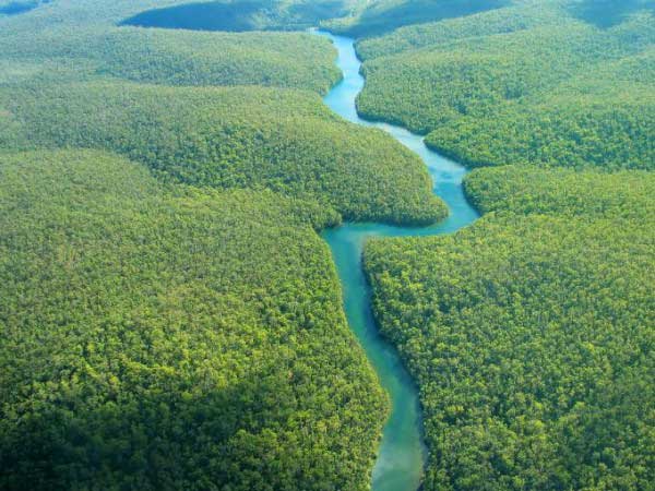 amazone fleuve