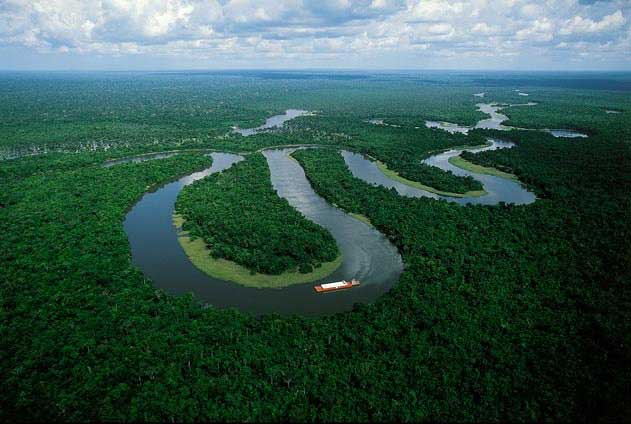 amazone fleuve