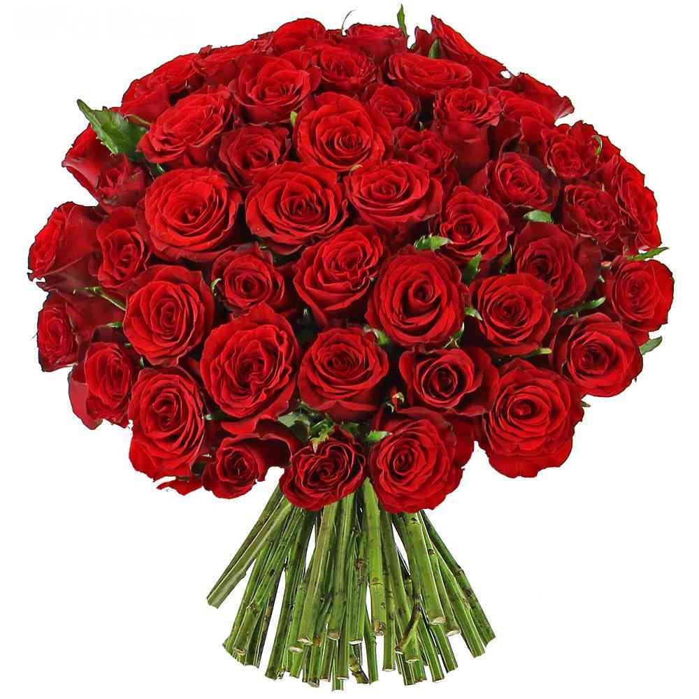 bouquet de roses