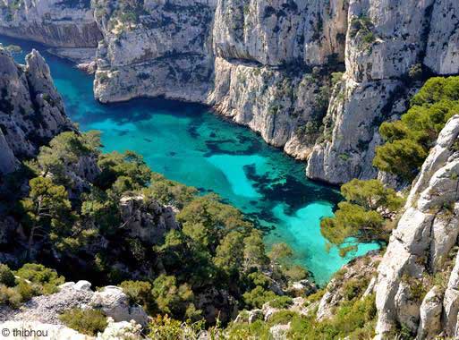 cassis