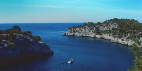 cassis