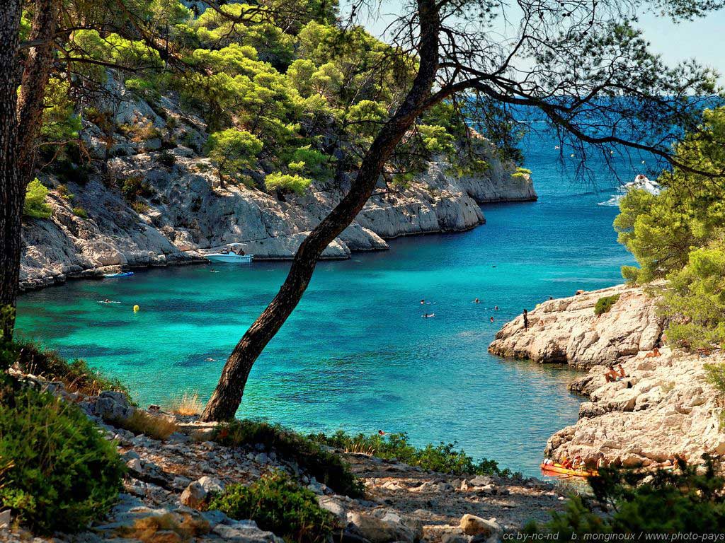 cassis
