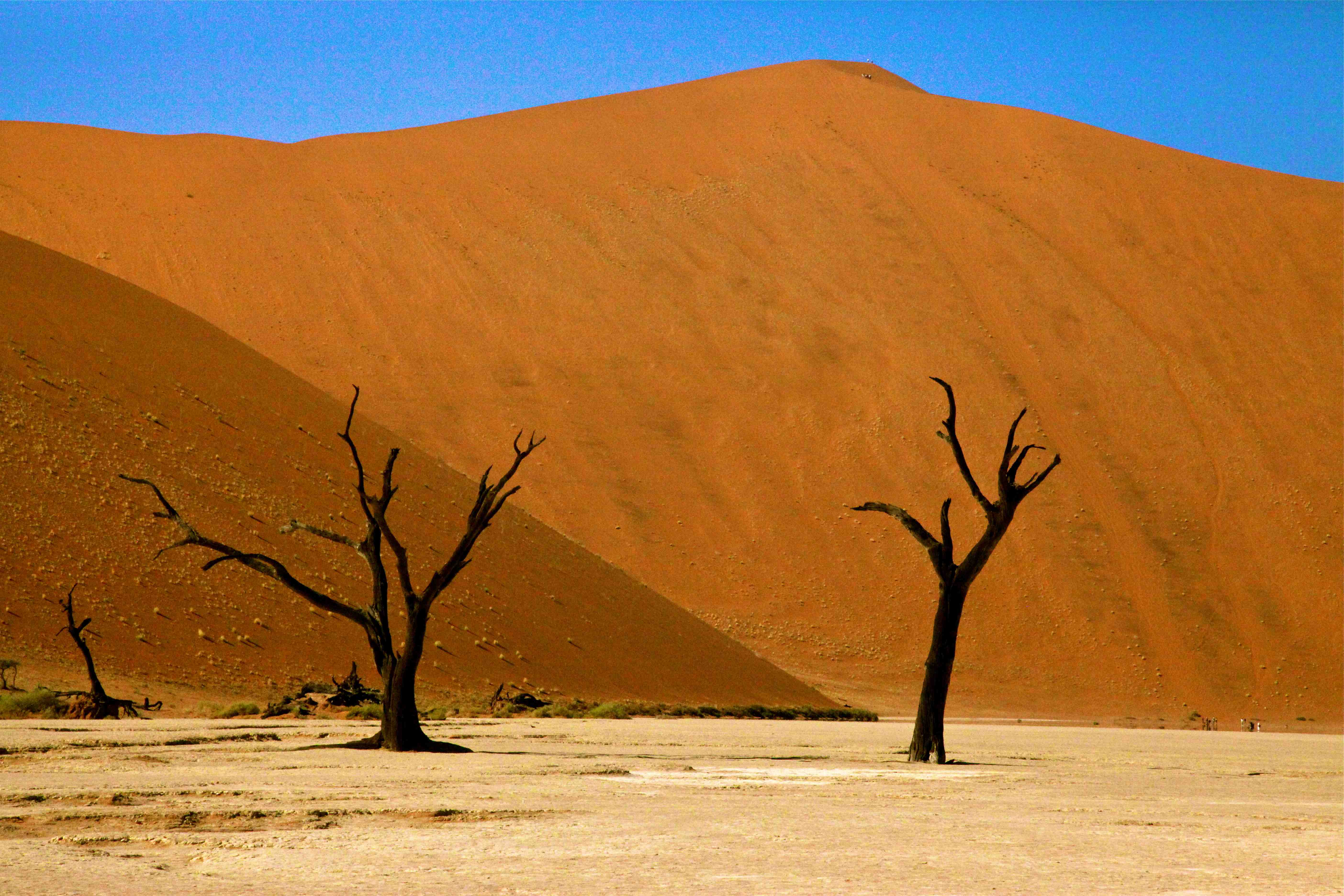 desert de namib
