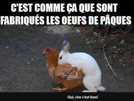 drole