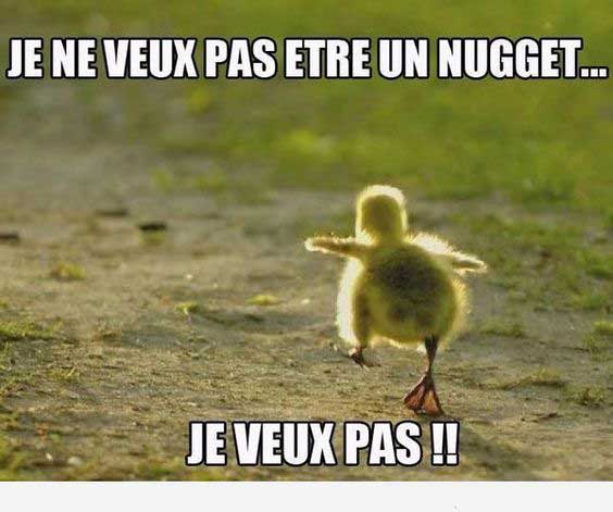 drole