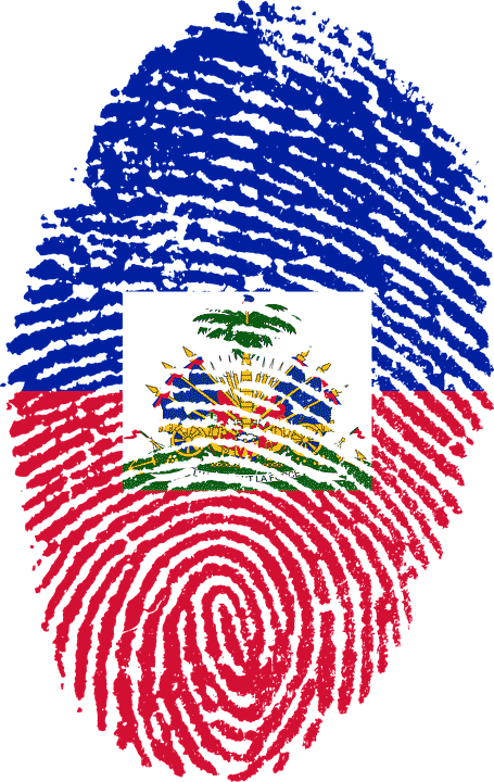 haiti drapeau