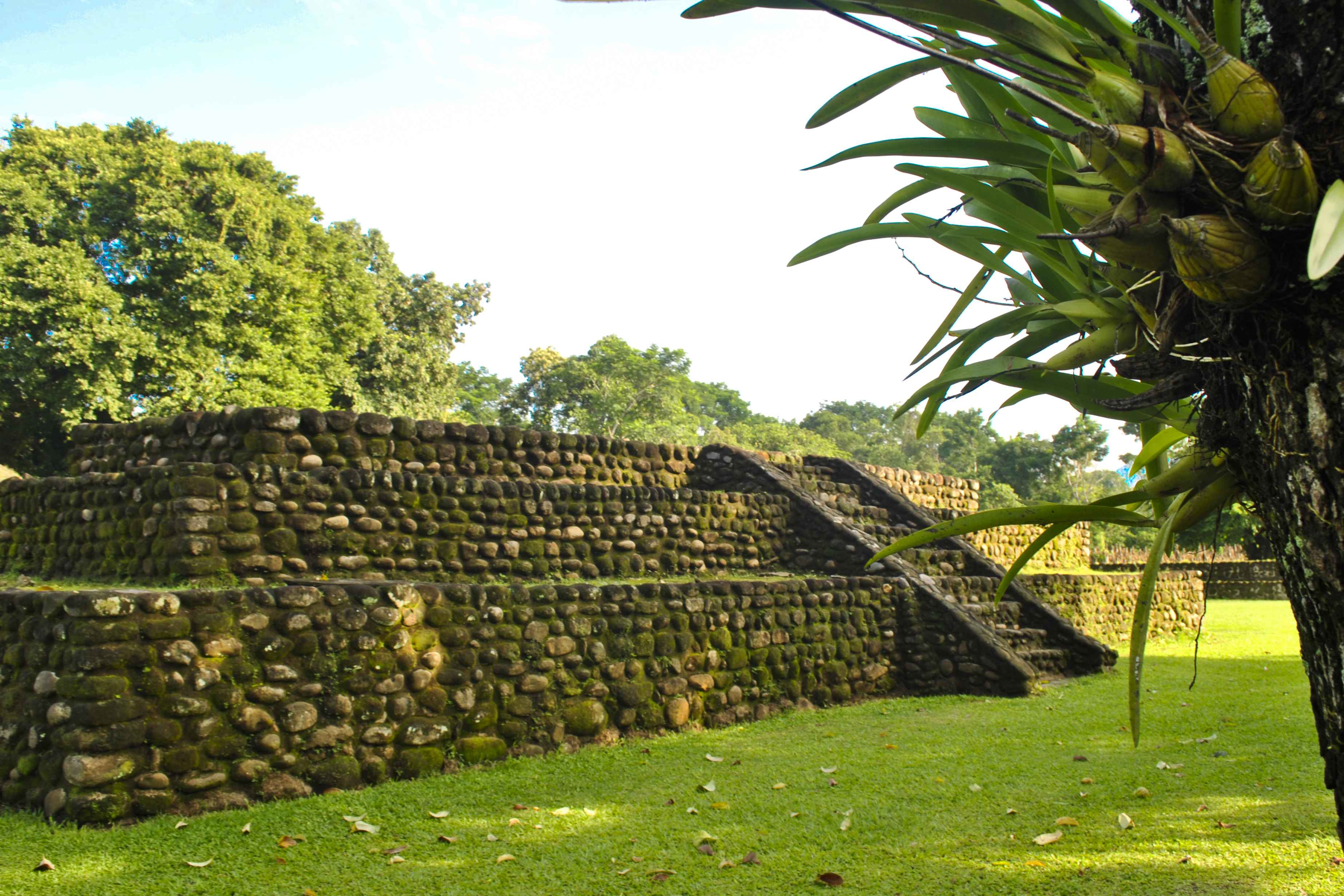 izapa