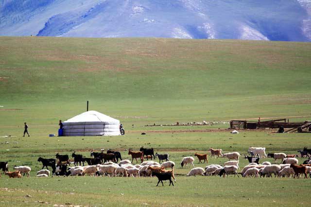 la mongolie