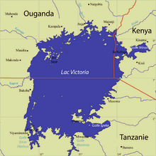 le lac victoria