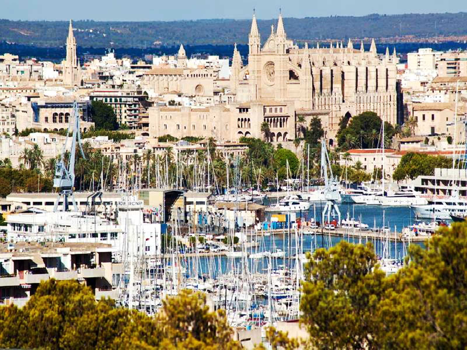palma de majorque
