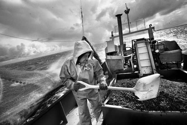 photographie noir et blanc