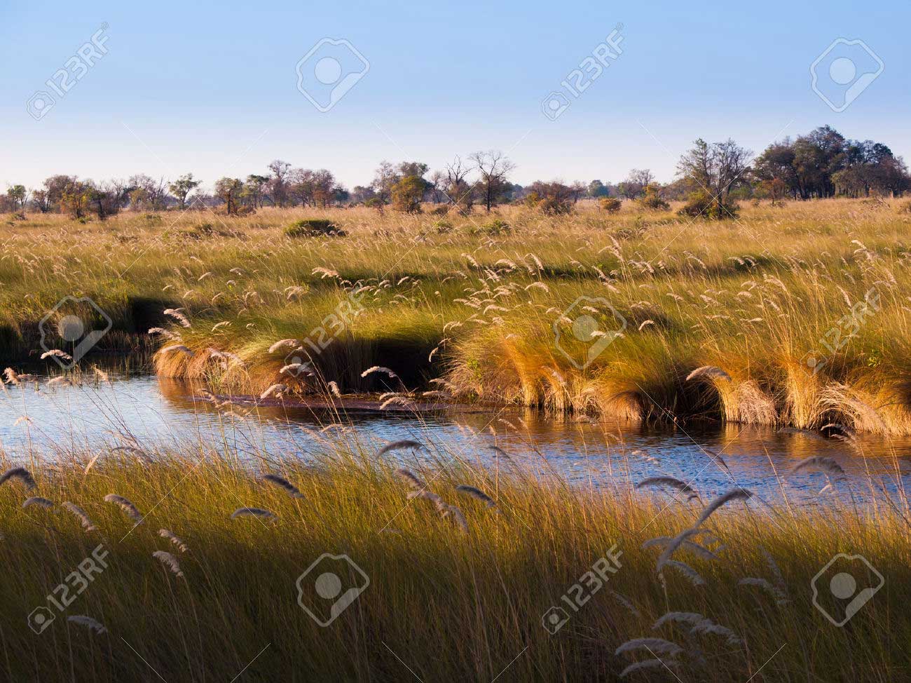 riviere okavango