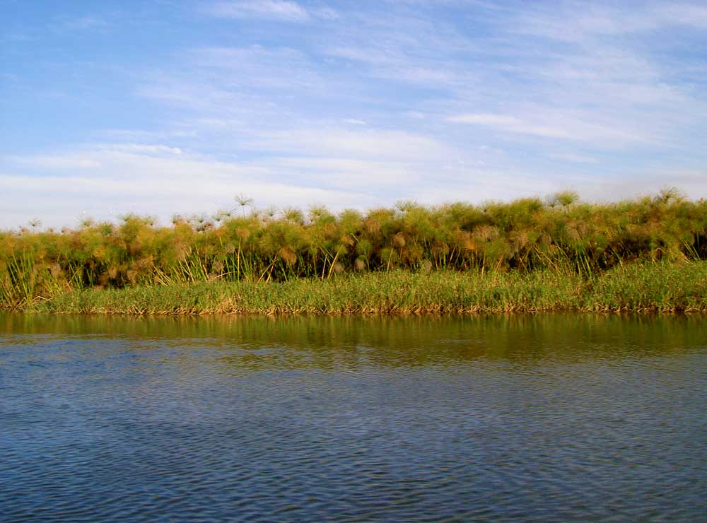 riviere okavango