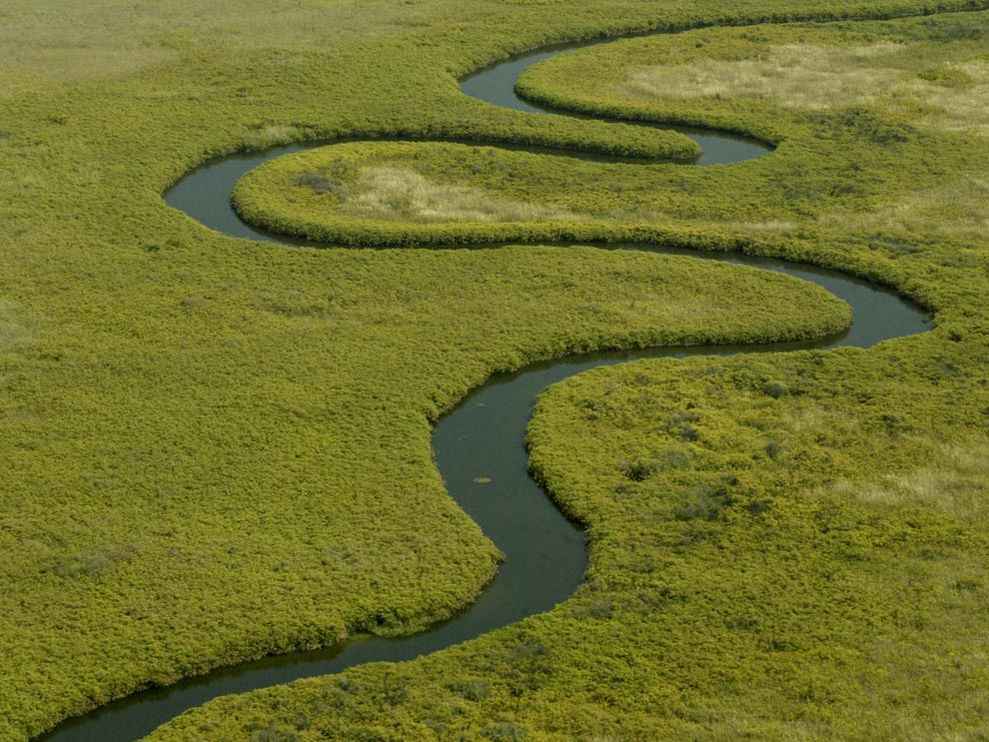 riviere okavango