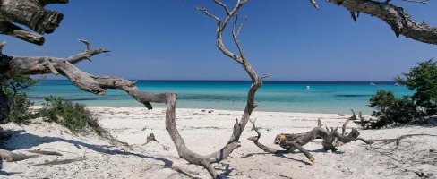 vacances en corse