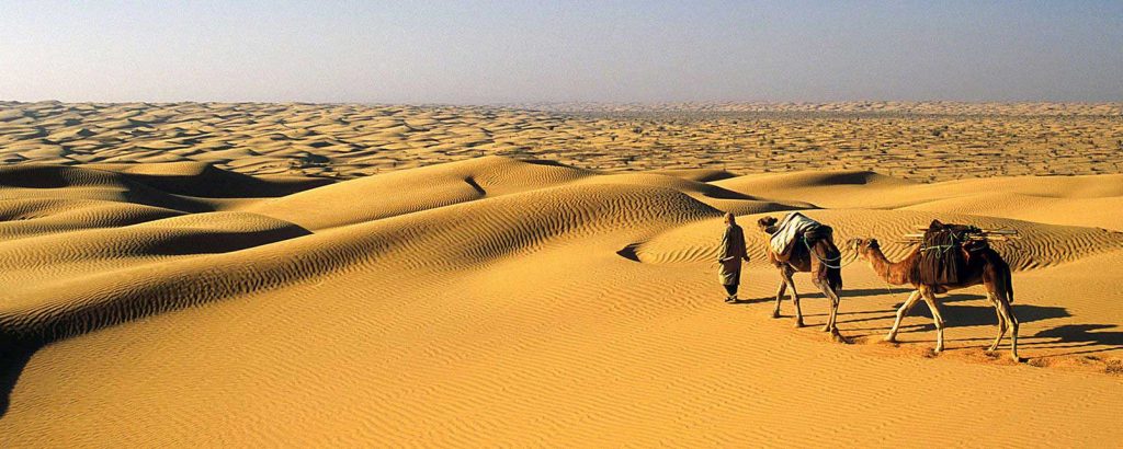 tunisie-paysage