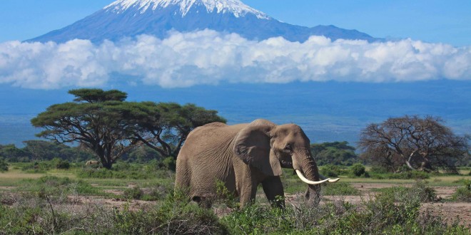 Tanzanie