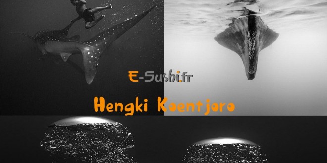 Hengki Koentjoro