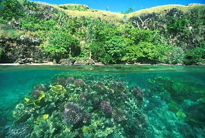paysages-de-papouasie