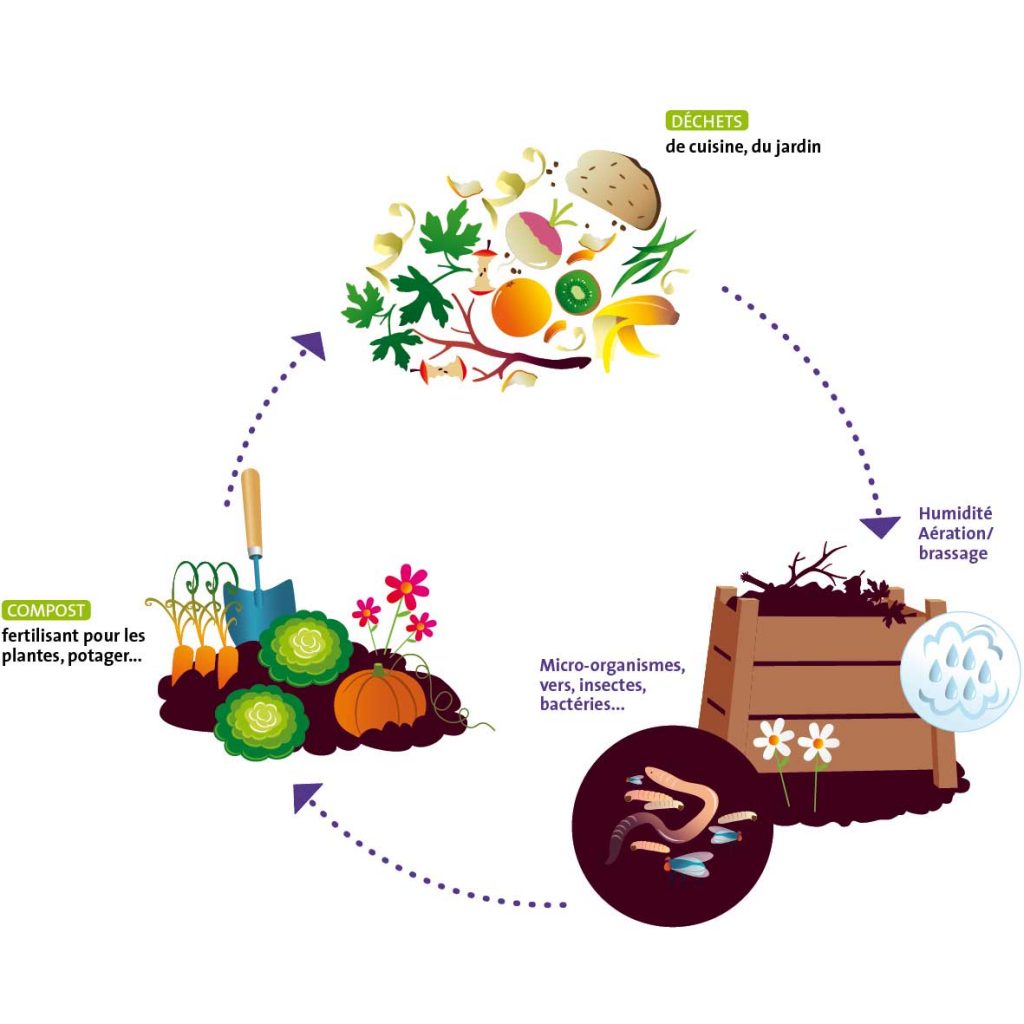 schema du compostage