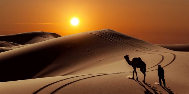Le Sahara - Désert