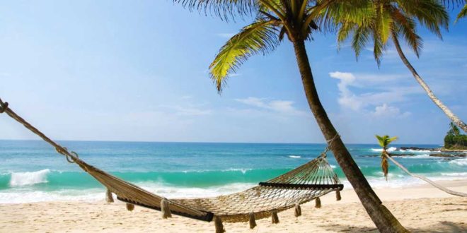 Voyages dans le Sud