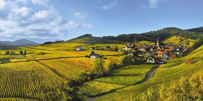 Route des vins