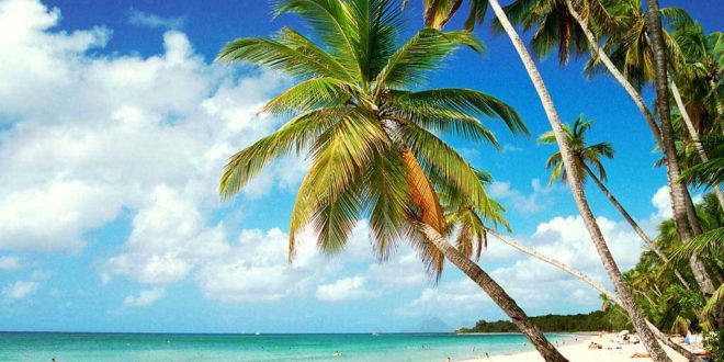 La plage des Salines en Martinique