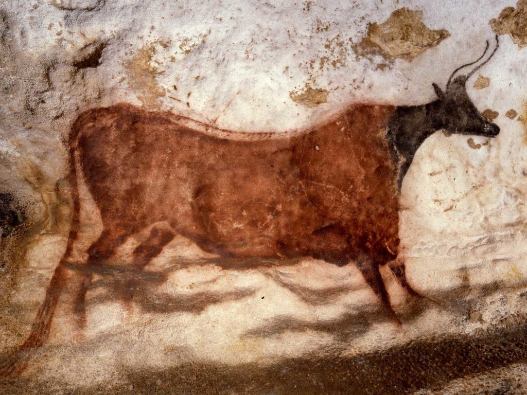 Vache rouge à tête noire de Lascaux