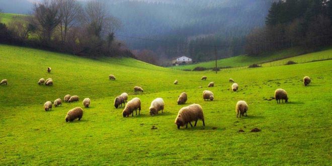 La Campagne