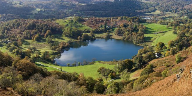 Tarn (81)