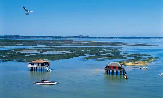 Bassin d'Arcachon - Ile aux oiseaux