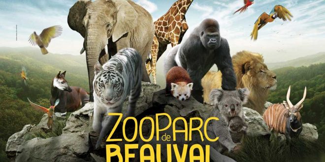 Zoo de Beauval
