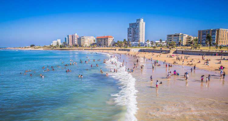 port elizabeth afrique du sud
