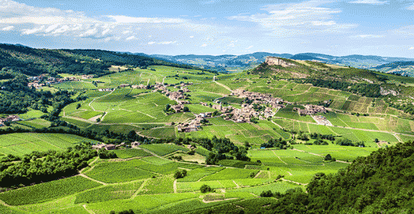vacances a la campagne