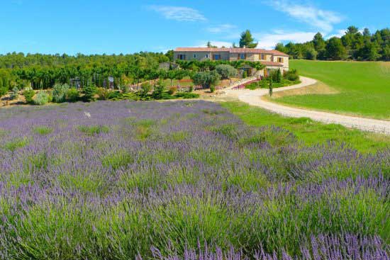 vacances a la campagne