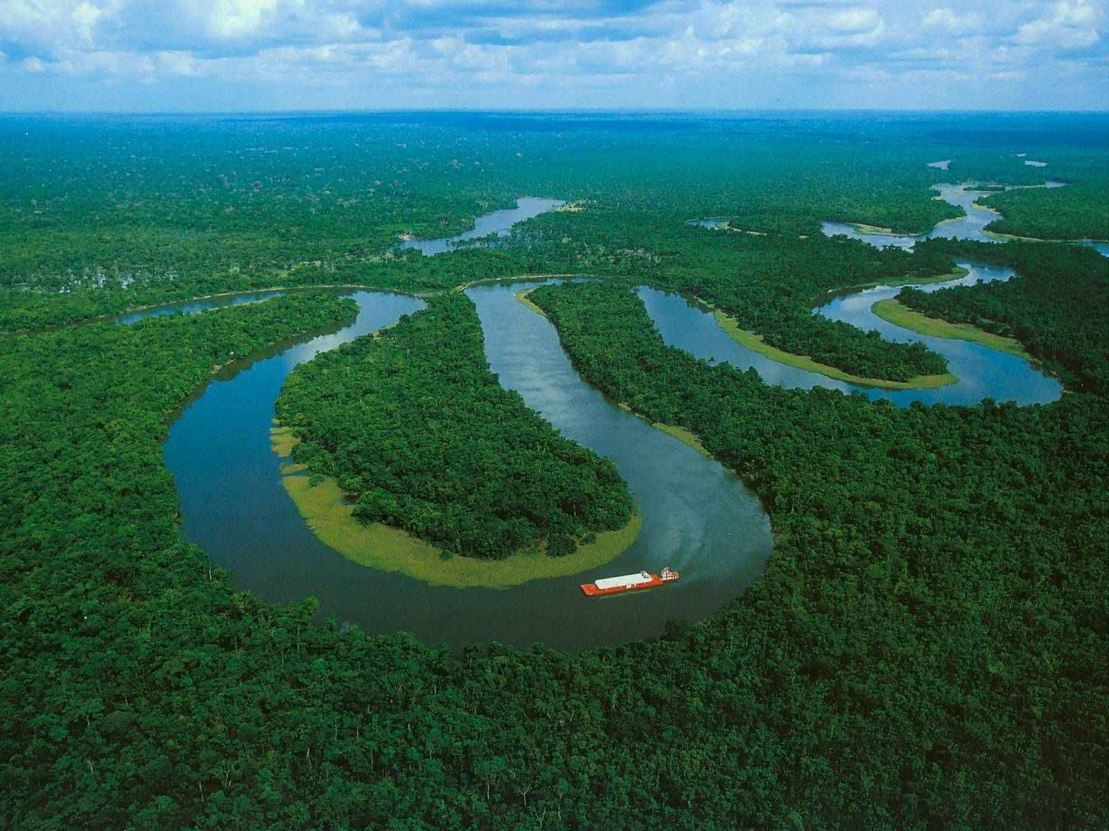 amazone fleuve