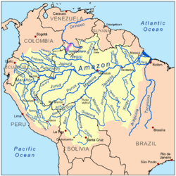 amazone fleuve