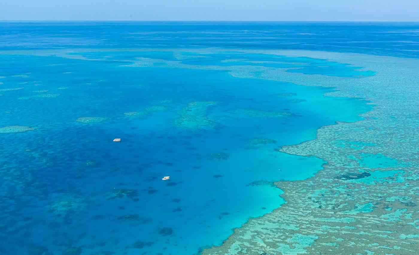 decouverte de la grande barriere de corail australienne