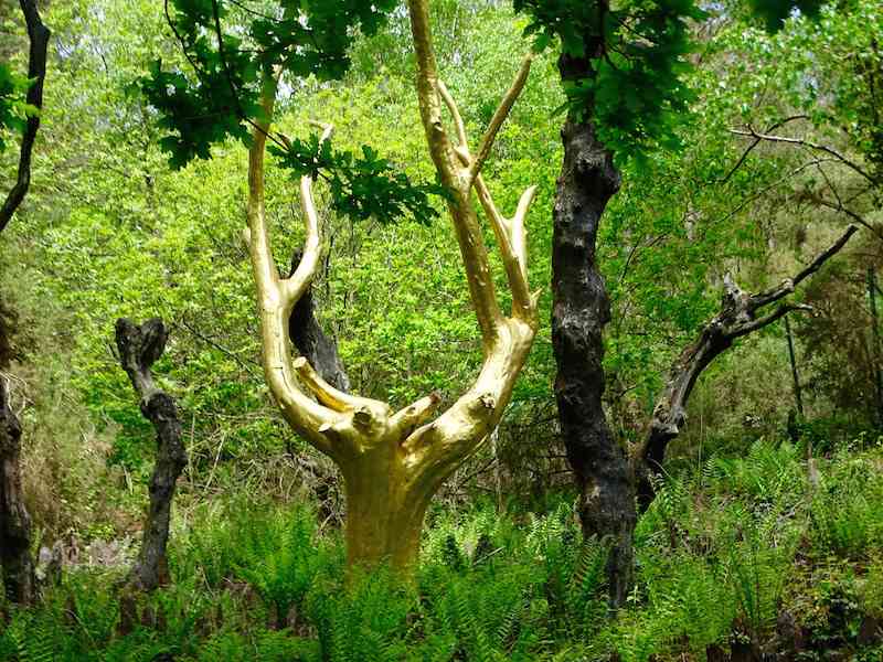 Forêt de Broceliande ≡ Voyage - Carte - Plan