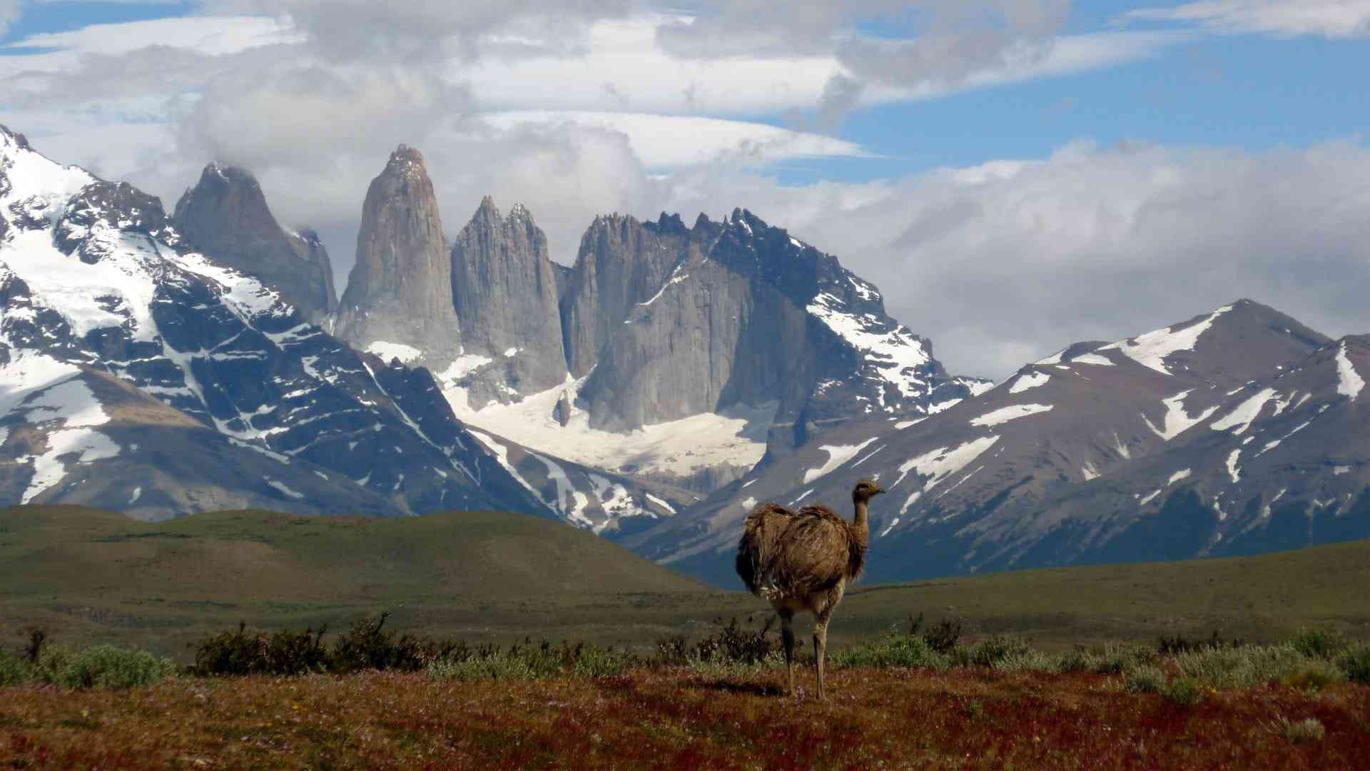 la patagonie chilienne