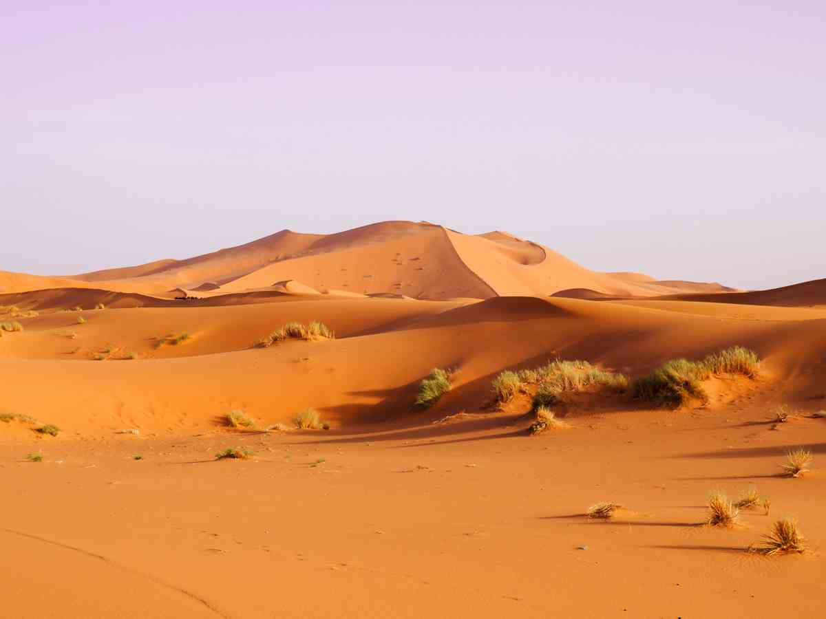 le desert