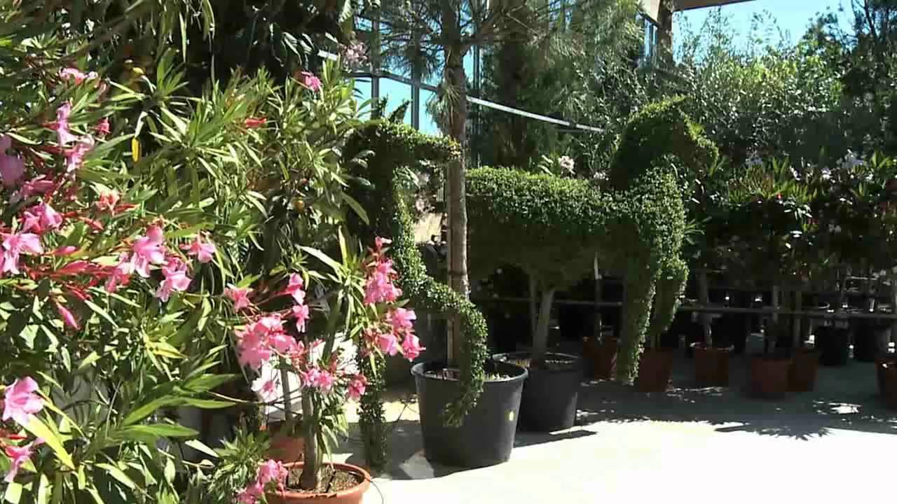 les jardins de provence