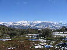 montagnes de sierra nevada