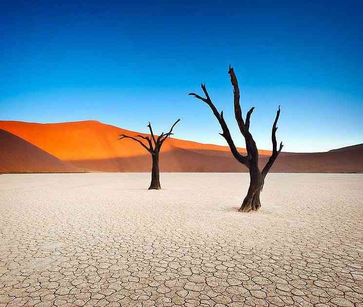 namibie paysage desert