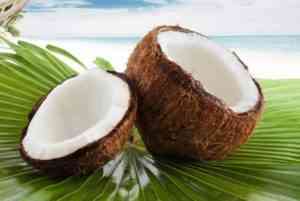 noix de coco en polynesie