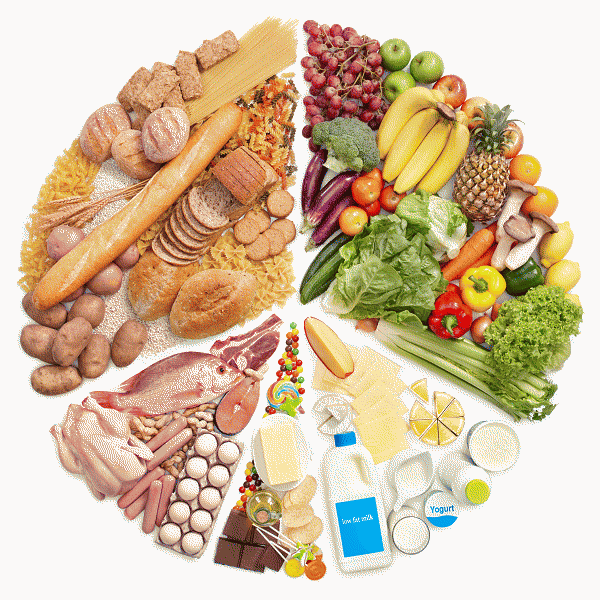 nutrition et alimentation equilibre alimentaire