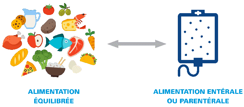 nutrition et alimentation equilibre alimentaire